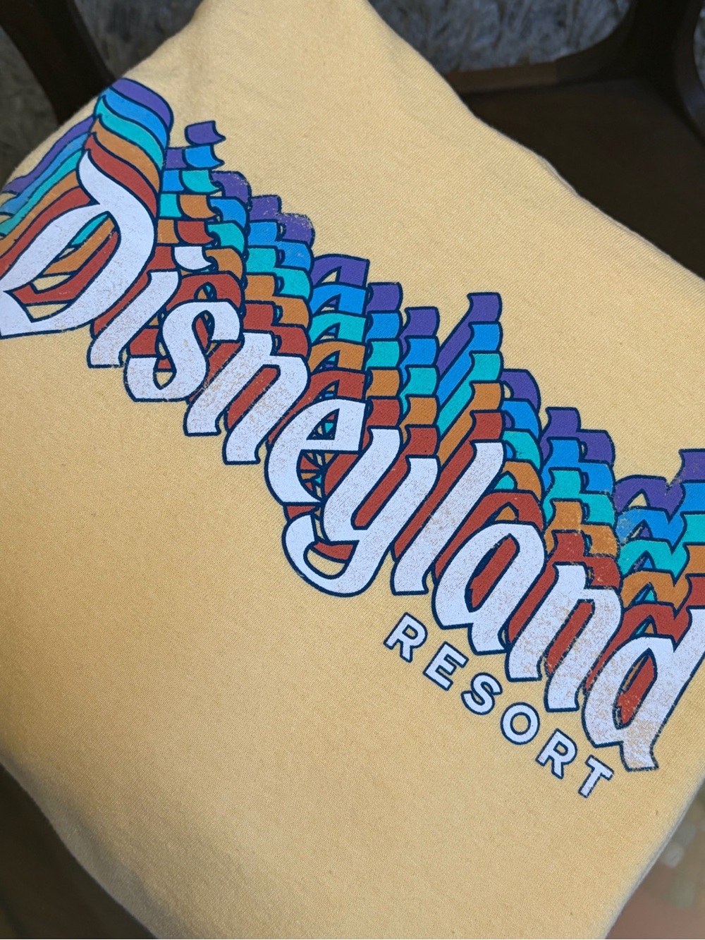 Disneyland Resort Hoodie - Picture 4 of 5